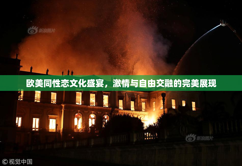 欧美同性恋文化盛宴，激情与自由交融的完美展现