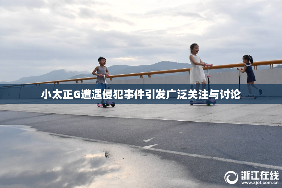 小太正G遭遇侵犯事件引发广泛关注与讨论