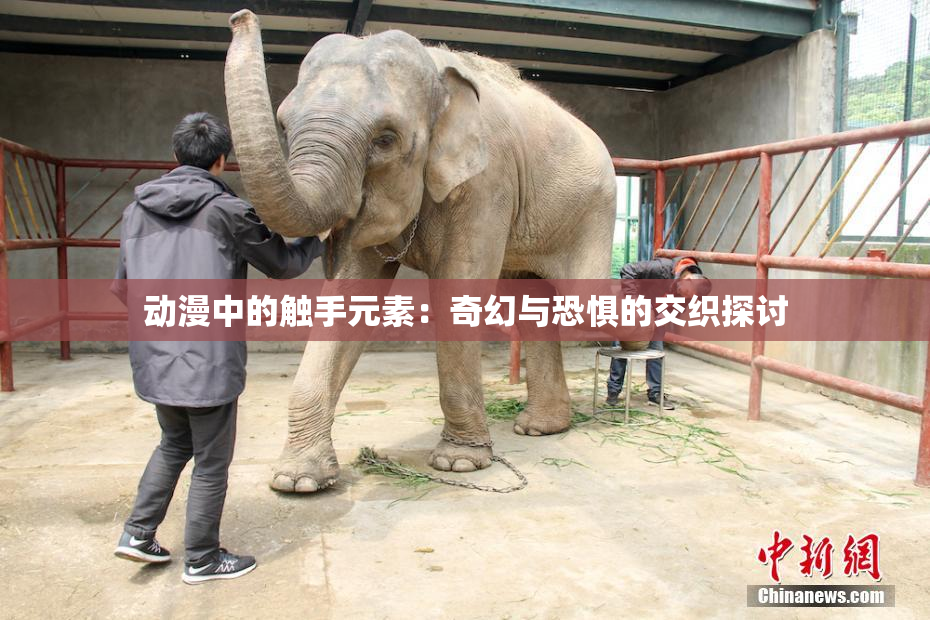 动漫中的触手元素：奇幻与恐惧的交织探讨