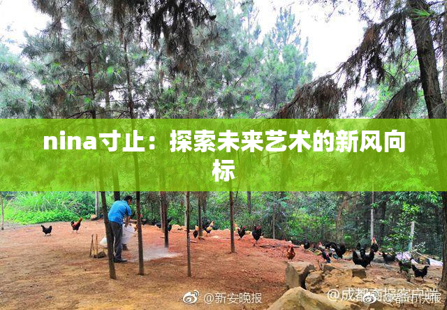 nina寸止：探索未来艺术的新风向标