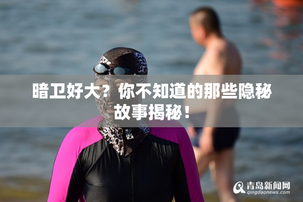 暗卫好大？你不知道的那些隐秘故事揭秘！