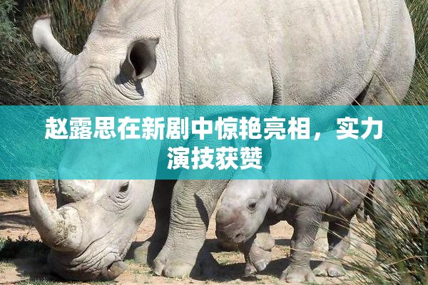 赵露思在新剧中惊艳亮相，实力演技获赞