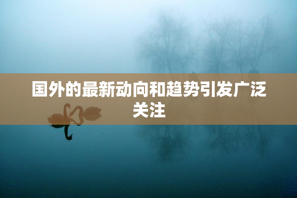国外的最新动向和趋势引发广泛关注