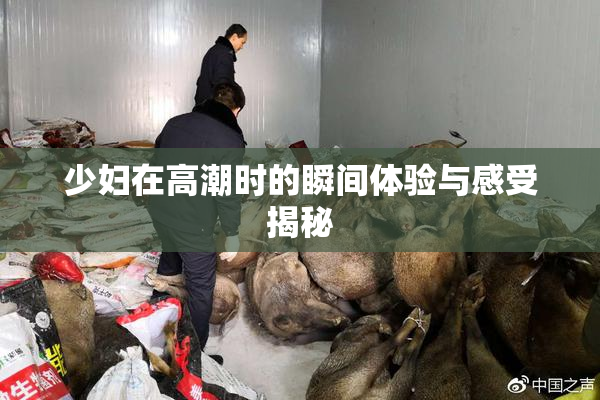 少妇在高潮时的瞬间体验与感受揭秘
