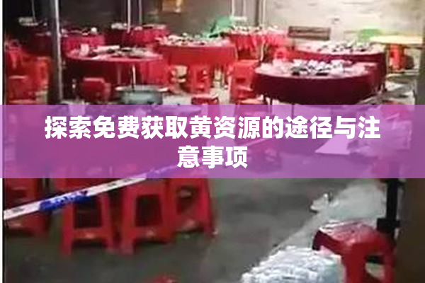 探索免费获取黄资源的途径与注意事项
