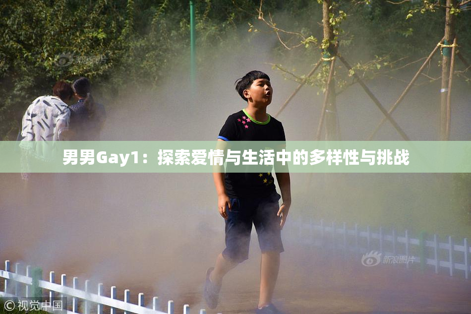 男男Gay1：探索爱情与生活中的多样性与挑战