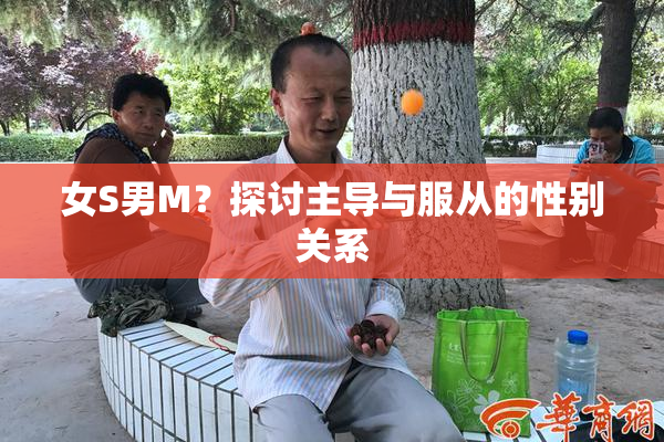 女S男M？探讨主导与服从的性别关系