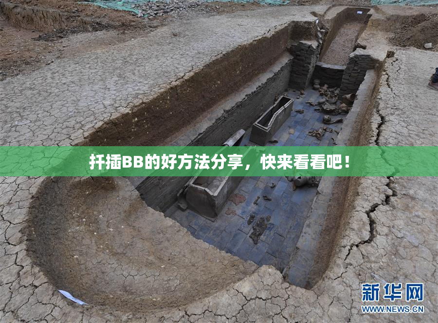 扦插BB的好方法分享，快来看看吧！