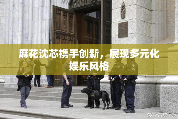 麻花沈芯携手创新，展现多元化娱乐风格