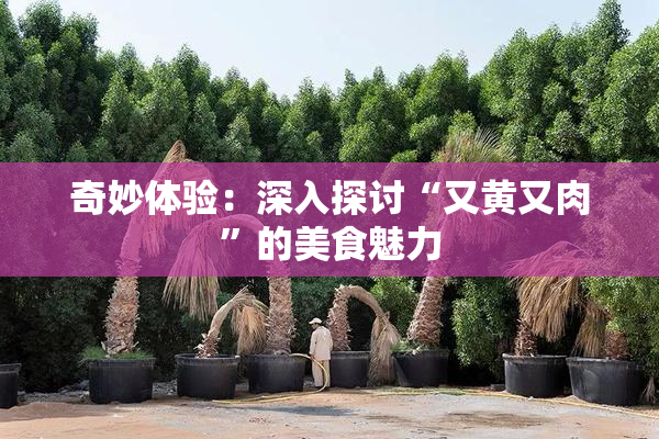 奇妙体验：深入探讨“又黄又肉”的美食魅力