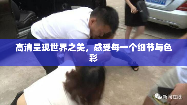 高清呈现世界之美，感受每一个细节与色彩