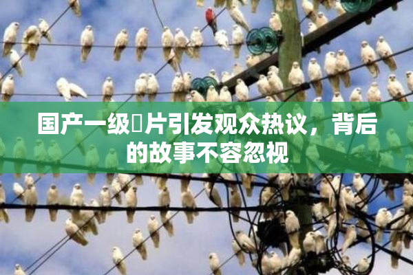 国产一级婬片引发观众热议，背后的故事不容忽视