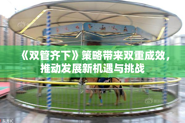 《双管齐下》策略带来双重成效，推动发展新机遇与挑战