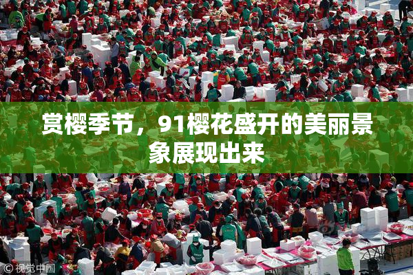 赏樱季节，91樱花盛开的美丽景象展现出来