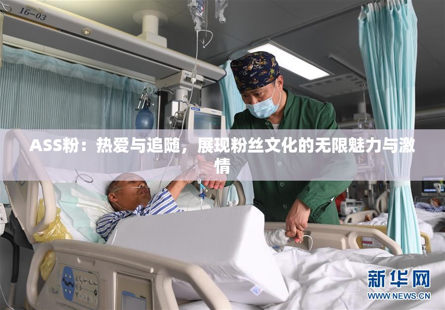 ASS粉：热爱与追随，展现粉丝文化的无限魅力与激情