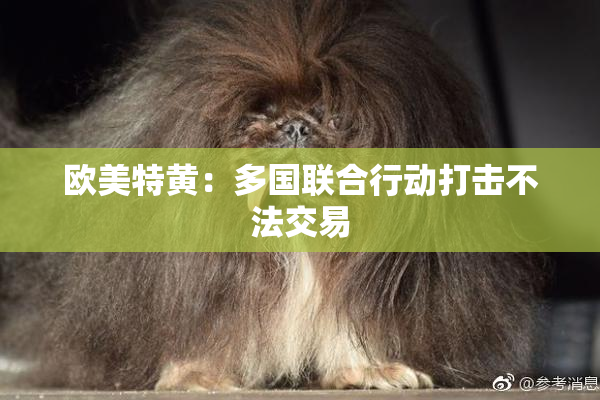 欧美特黄：多国联合行动打击不法交易