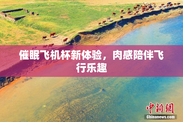 催眠飞机杯新体验，肉感陪伴飞行乐趣