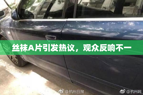 丝袜A片引发热议，观众反响不一