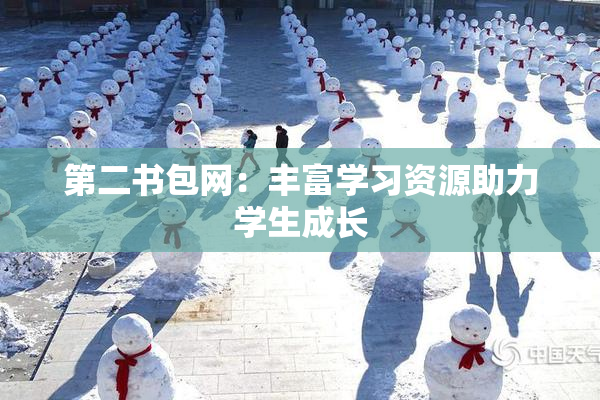 第二书包网：丰富学习资源助力学生成长