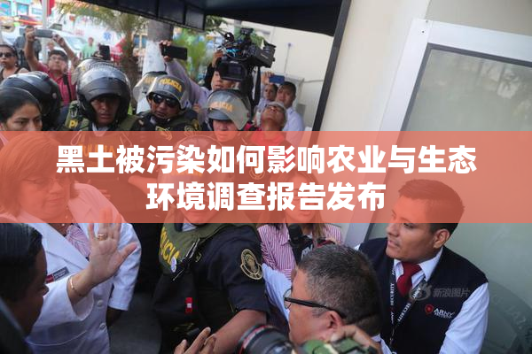 黑土被污染如何影响农业与生态环境调查报告发布