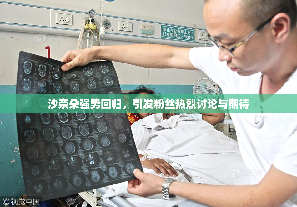 沙奈朵强势回归，引发粉丝热烈讨论与期待