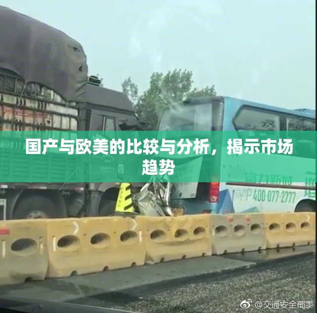 国产与欧美的比较与分析，揭示市场趋势