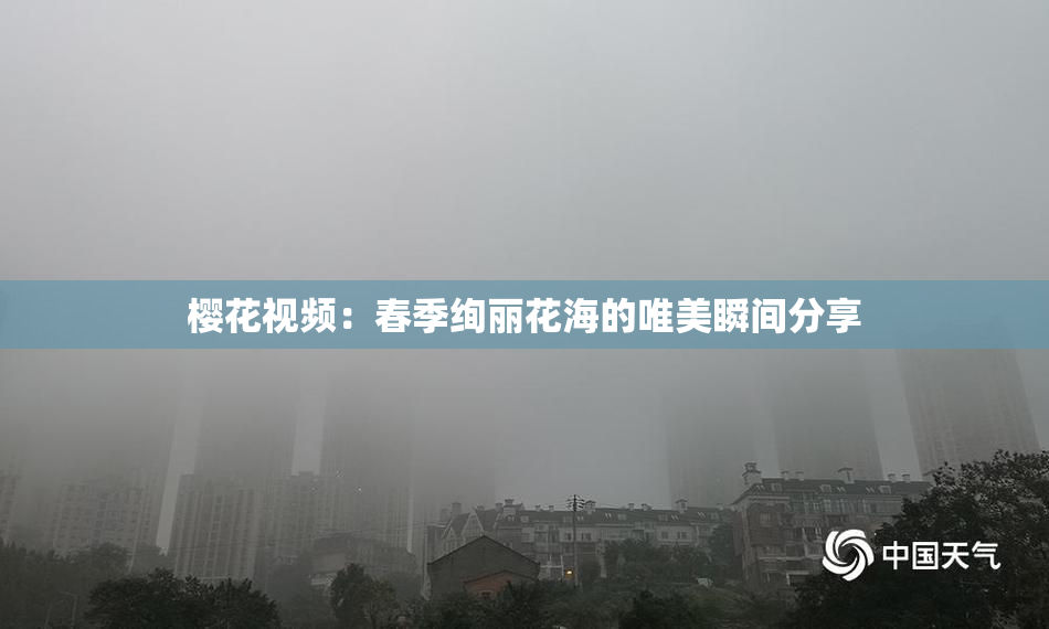 樱花视频：春季绚丽花海的唯美瞬间分享