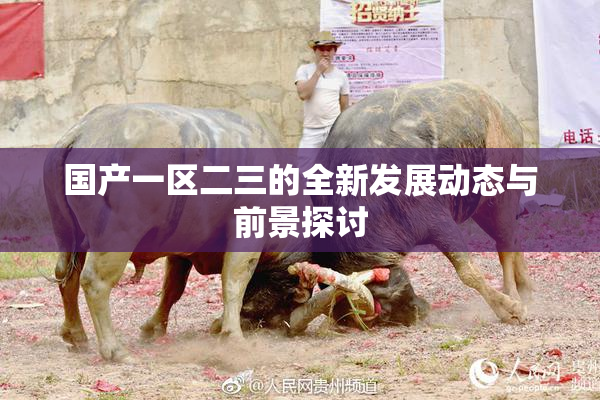 国产一区二三的全新发展动态与前景探讨