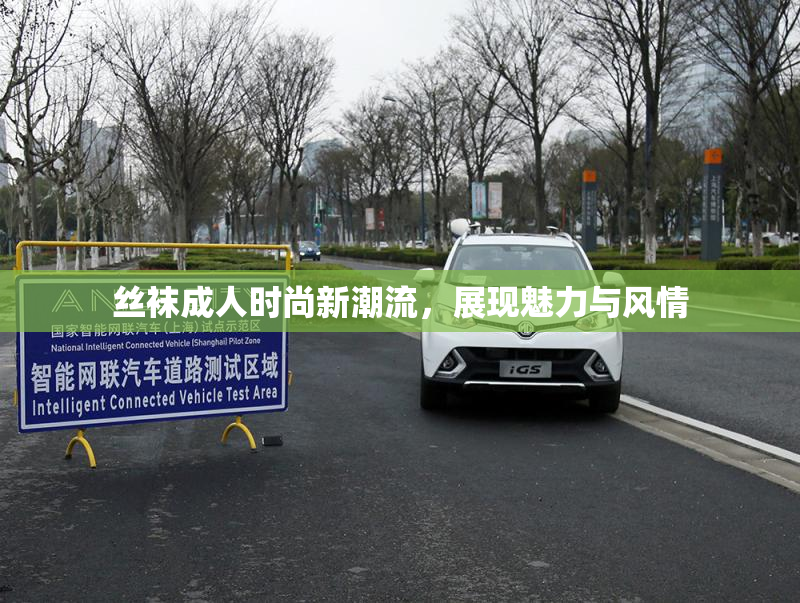 丝袜成人时尚新潮流，展现魅力与风情