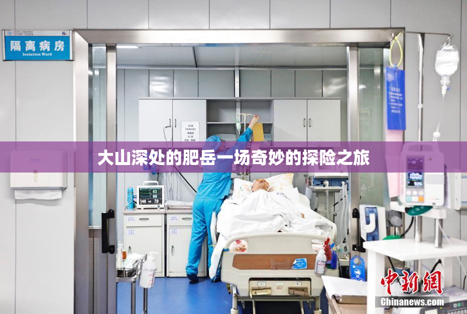 大山深处的肥岳一场奇妙的探险之旅