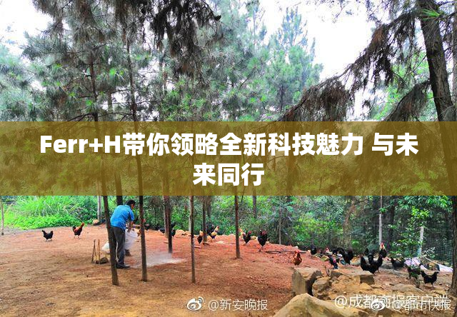 Ferr+H带你领略全新科技魅力 与未来同行