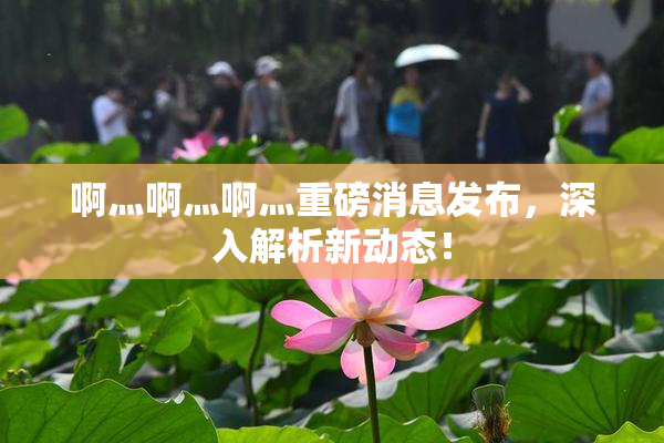 啊灬啊灬啊灬重磅消息发布，深入解析新动态！