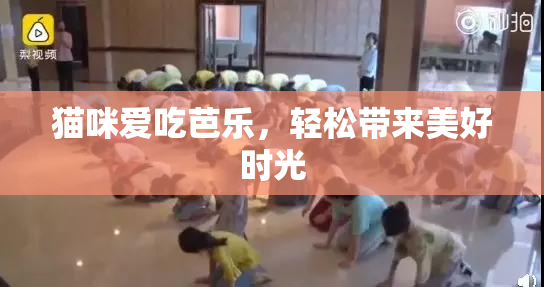 猫咪爱吃芭乐，轻松带来美好时光