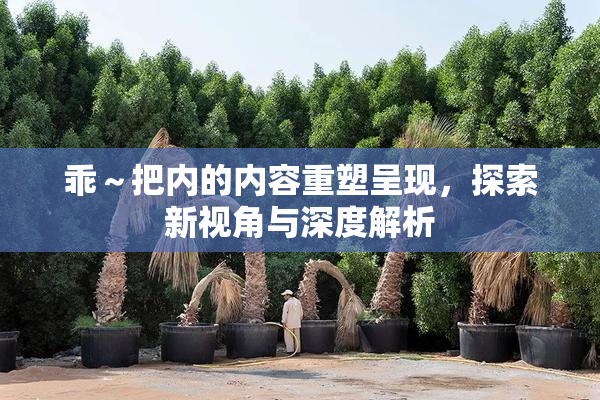 乖～把内的内容重塑呈现，探索新视角与深度解析