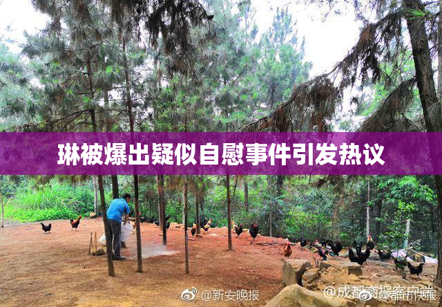 琳被爆出疑似自慰事件引发热议
