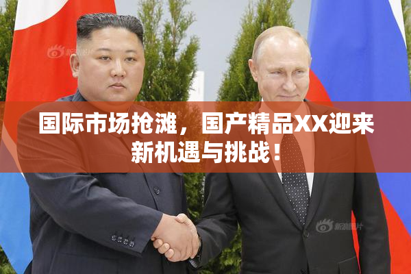 国际市场抢滩，国产精品XX迎来新机遇与挑战！