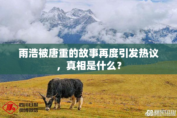 雨浩被唐重的故事再度引发热议，真相是什么？