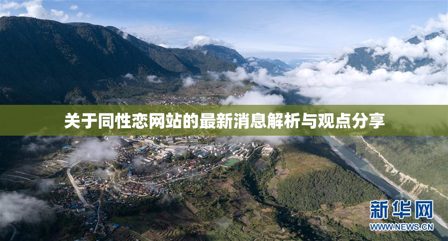 关于同性恋网站的最新消息解析与观点分享