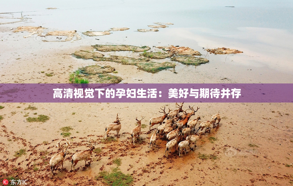高清视觉下的孕妇生活：美好与期待并存