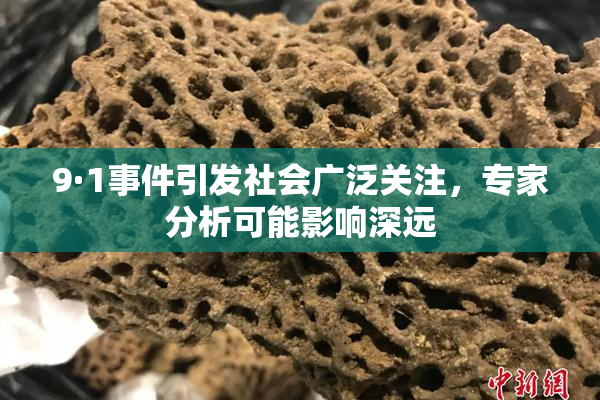 9·1事件引发社会广泛关注，专家分析可能影响深远