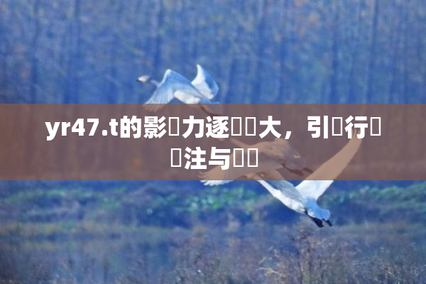 yr47.t的影響力逐漸擴大，引發行業關注与討論
