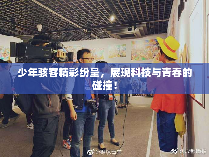 少年骇客精彩纷呈，展现科技与青春的碰撞！