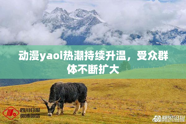 动漫yaoi热潮持续升温，受众群体不断扩大