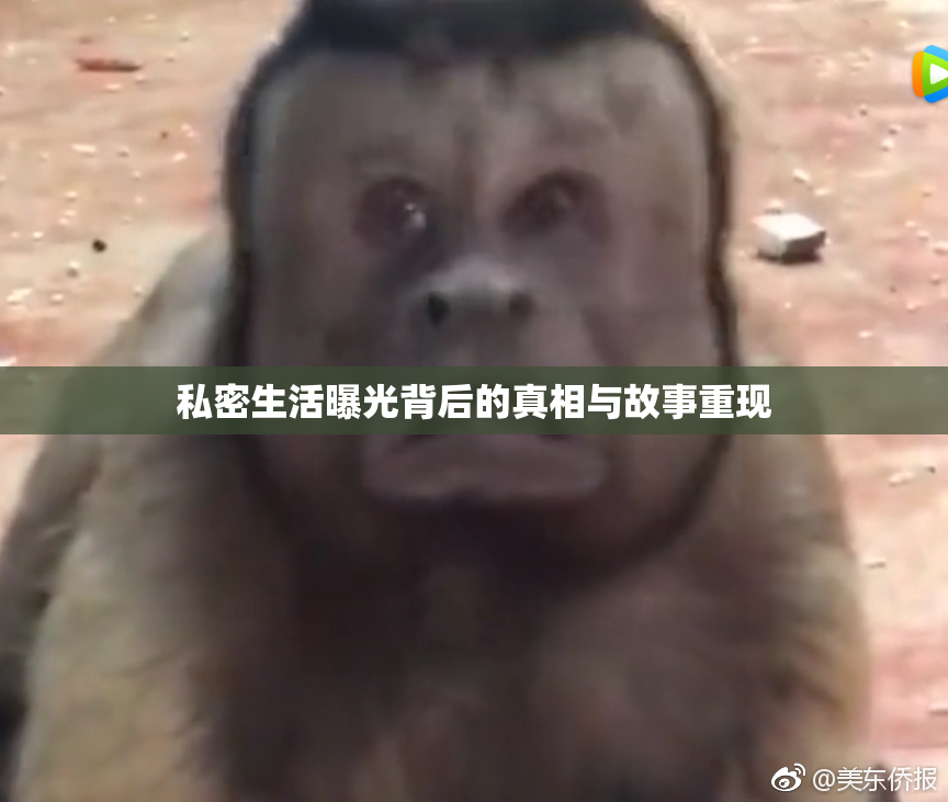 私密生活曝光背后的真相与故事重现