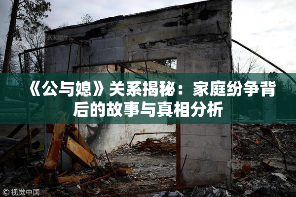 《公与媳》关系揭秘：家庭纷争背后的故事与真相分析
