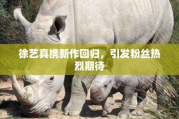 徐艺真携新作回归，引发粉丝热烈期待