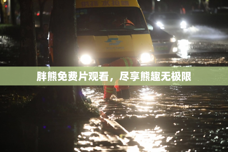 胖熊免费片观看，尽享熊趣无极限