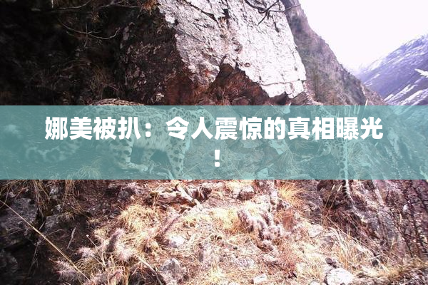 娜美被扒：令人震惊的真相曝光！
