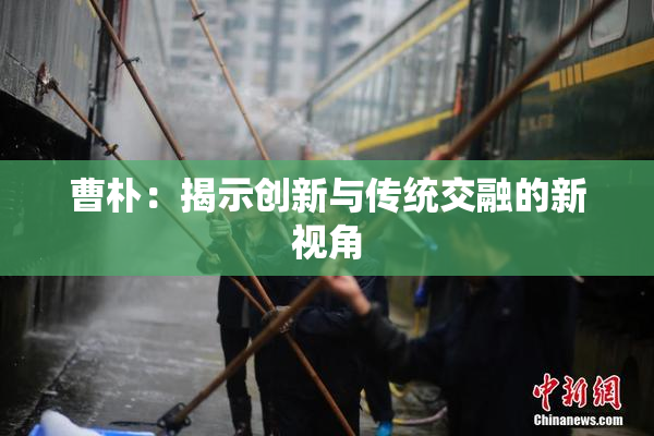 曹朴：揭示创新与传统交融的新视角