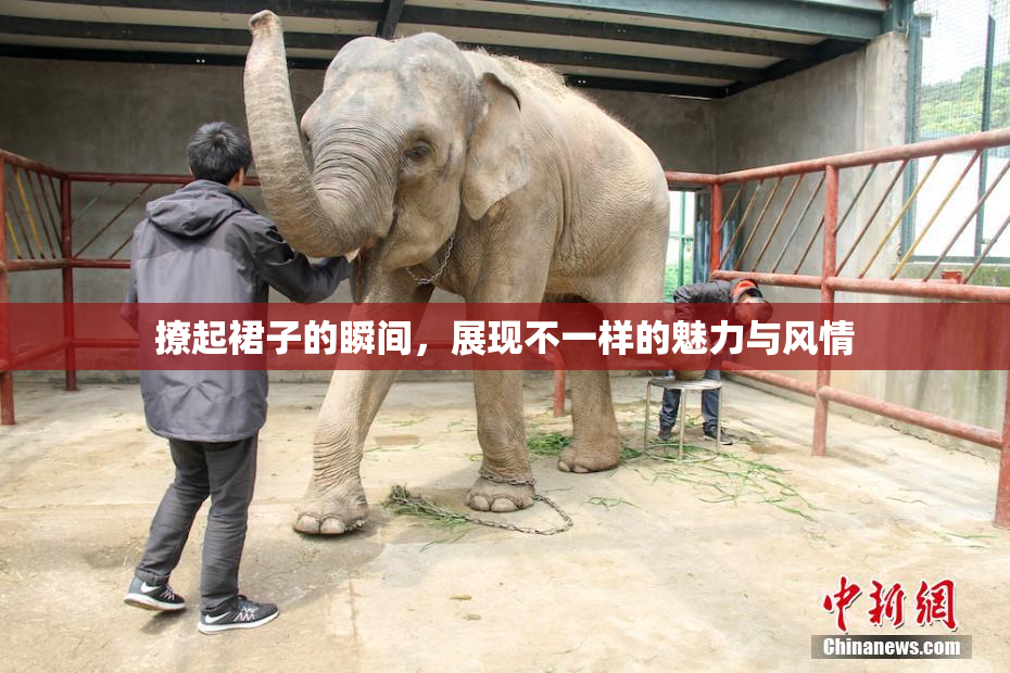 撩起裙子的瞬间，展现不一样的魅力与风情